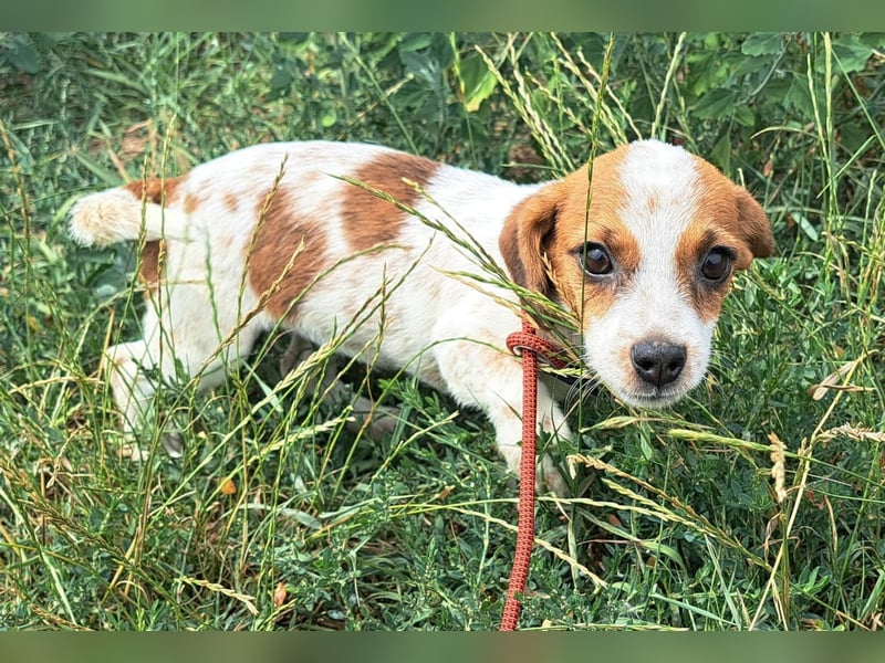 Die kleine Lilou kann bald in Hessen besucht werden