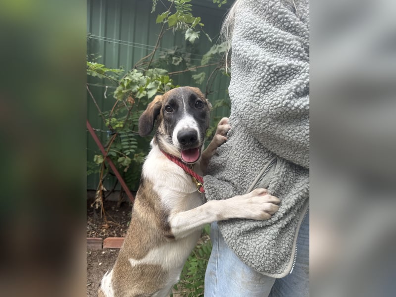 Hezöl sucht ihre Menschen