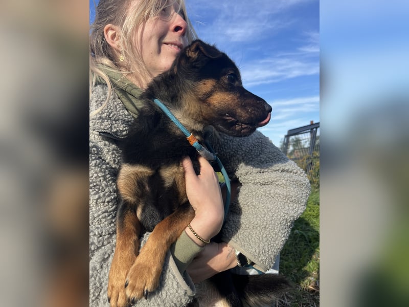 Kolos wartet auf dich