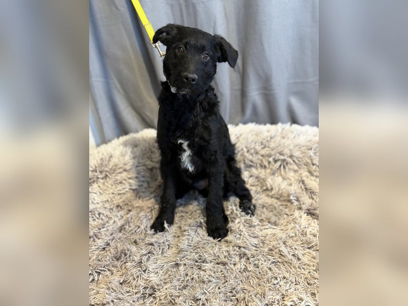 Kende wartet auf einen Neuanfang