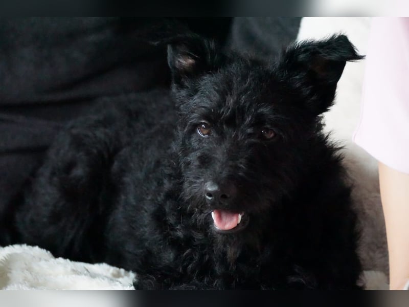 Jenga wartet in Deutschland auf dich