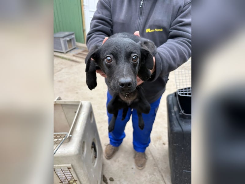 Amy bereit für ihr neues Leben