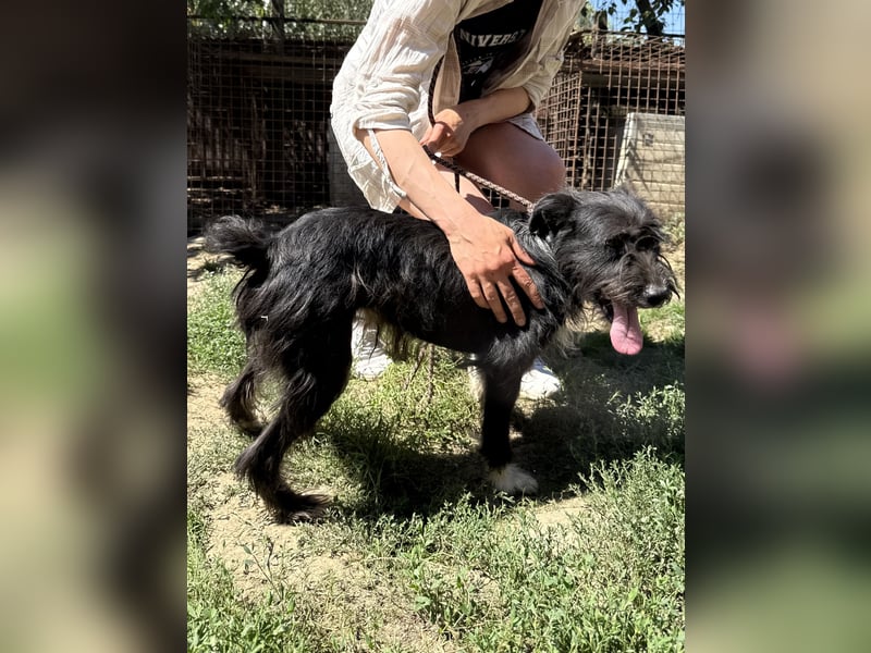 Lidi wartet sehnsüchtig auf ihre Familie