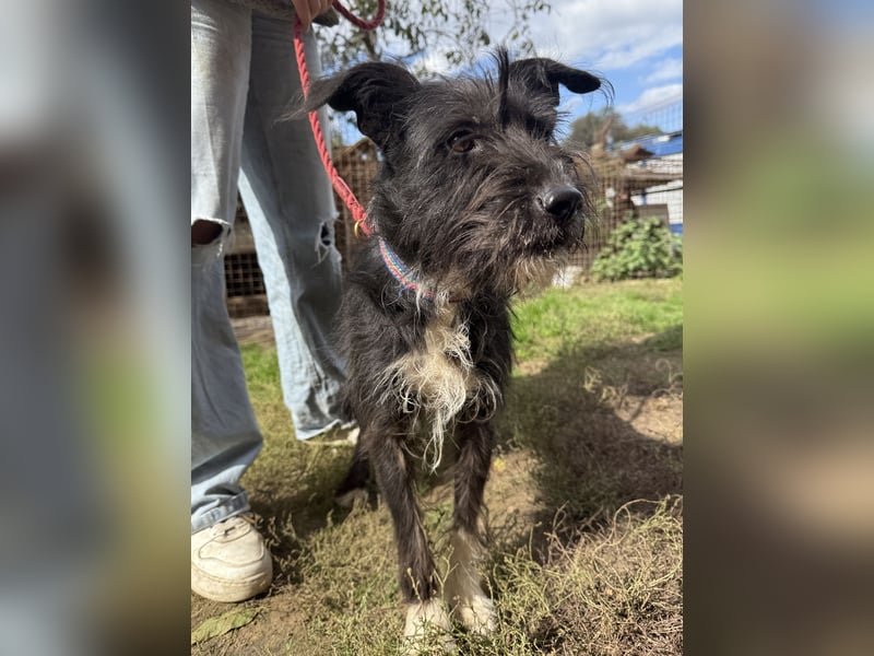 Lidi wartet sehnsüchtig auf ihre Familie