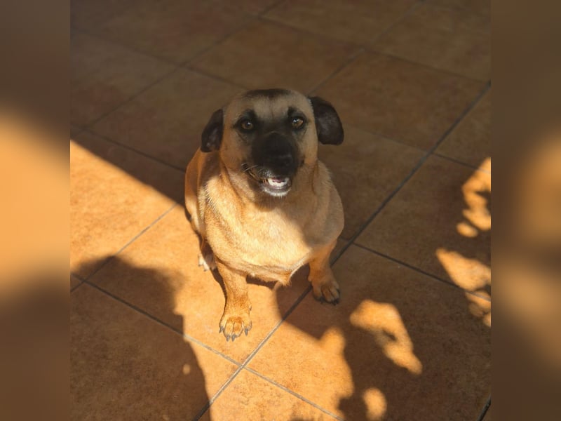 Lisa , kleines liebes Mädel möchte Rumänien verlassen