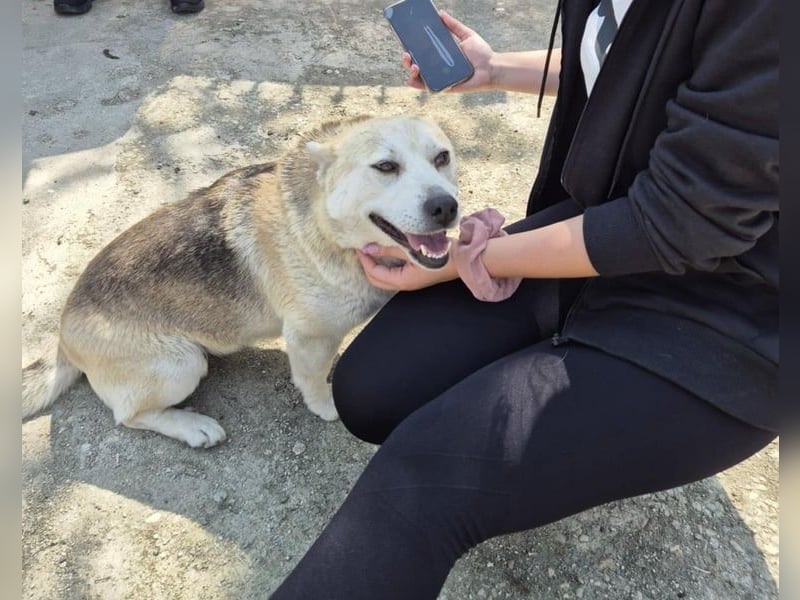 Mädel Aluna 35 cm, möchte Rumänien schnell verlassen
