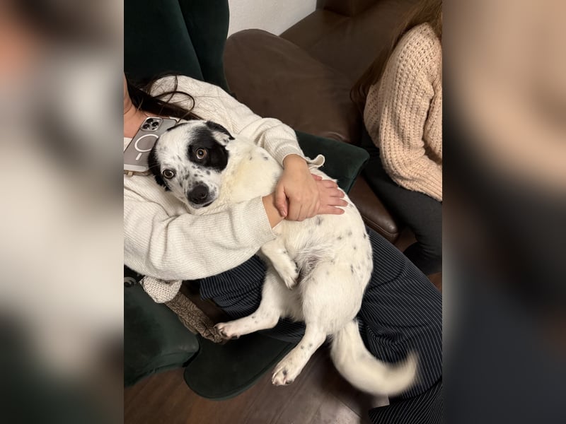 Daisy sucht ihre Herzensmenschen