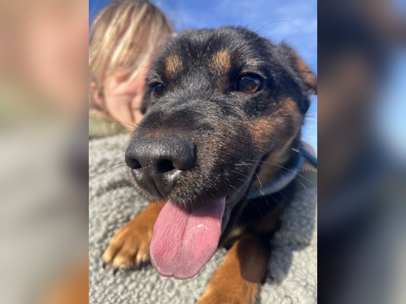 Kolos hat viel Liebe zu geben