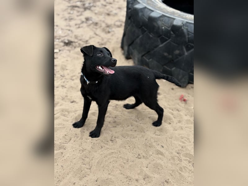 Amy bereit für ihr neues Leben