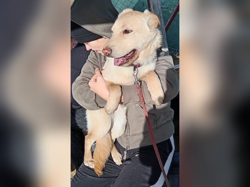 Pola möchte endlich geliebt werden