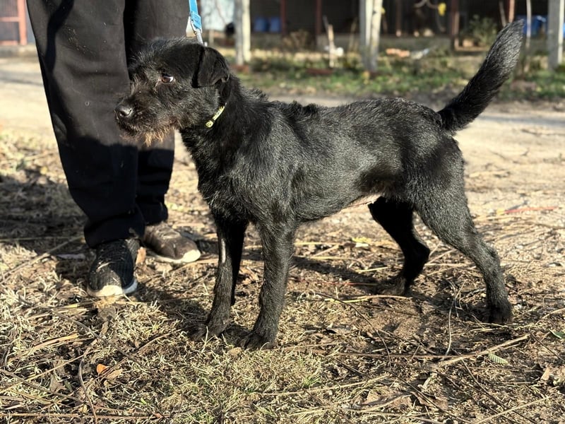 Leandra - Süße Maus will endlich ankommen!