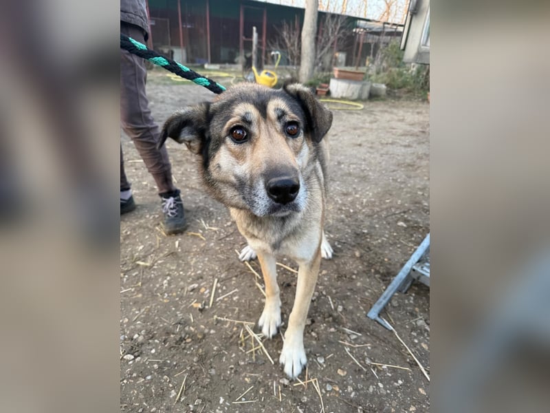 Nils ist pure Freude