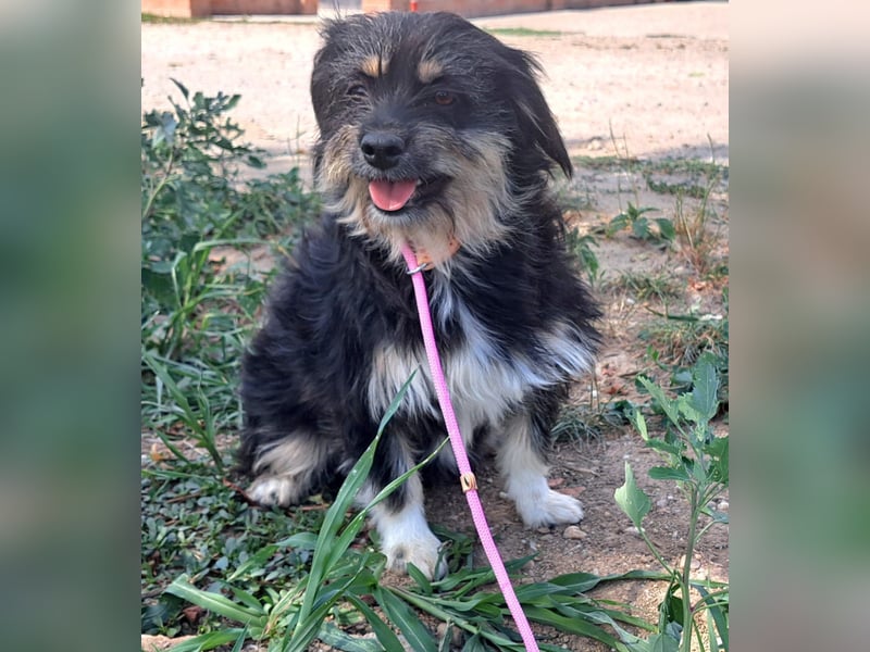 Irene lebt in Rumänien bei einer Pflegefamilie