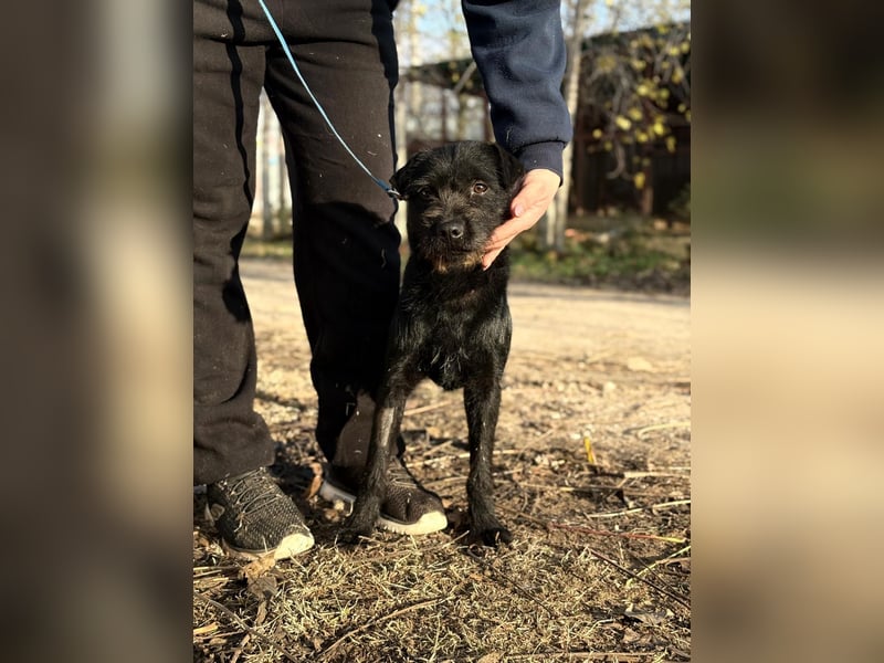 Leandra - Süße Maus will endlich ankommen!