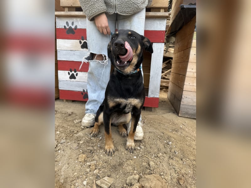 Rizling möchte zeigen, was in ihr steckt