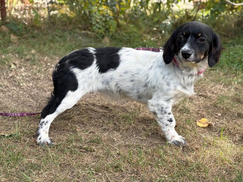 Envi möchte endlich nachhause Envi möchte endlich nachhause