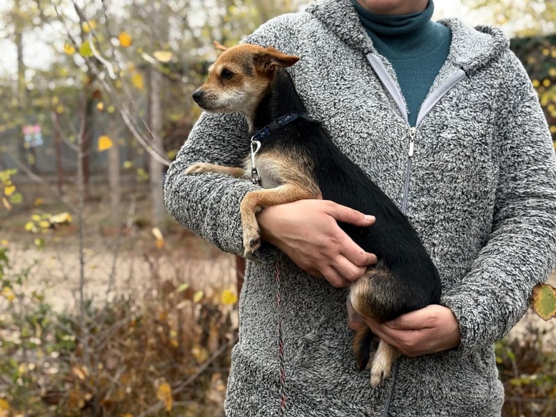 Harmat - sie will dieses Jahre nicht frieren!