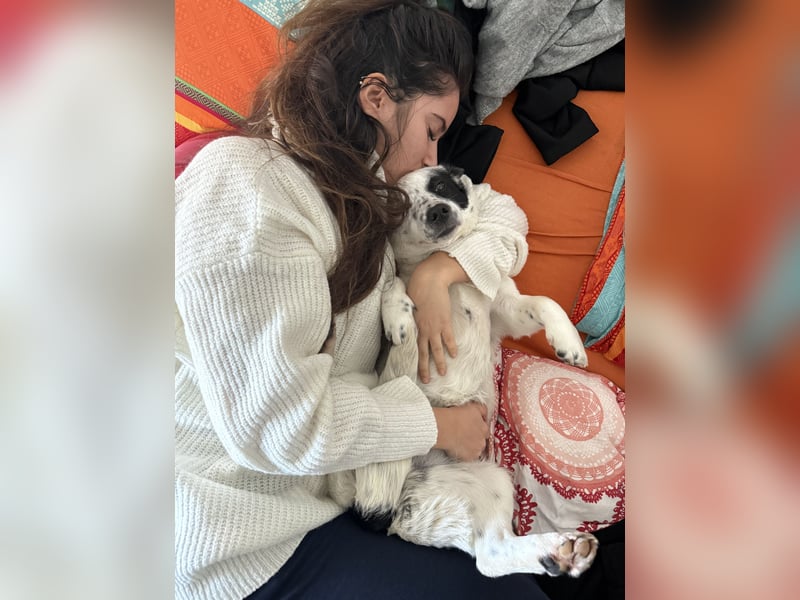 Daisy sucht ihre Herzensmenschen