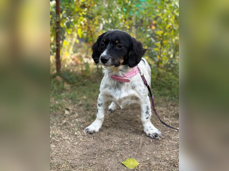 Envi möchte endlich nachhause Envi möchte endlich nachhause