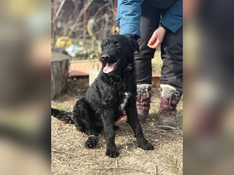 Kende wartet auf einen Neuanfang