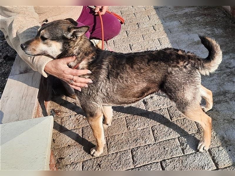 Super anhängliche Natascha möchte Rumänien ganz schnell verlassen