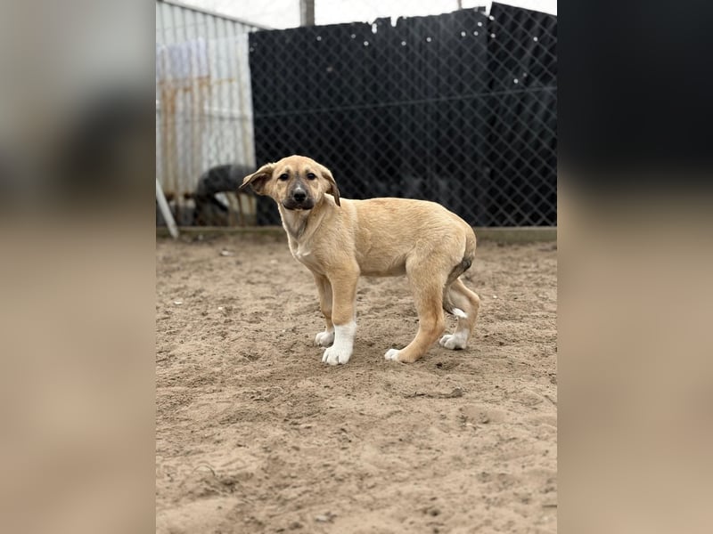 Nevio hat viel Liebe zu geben