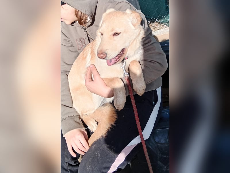 Pola möchte endlich geliebt werden