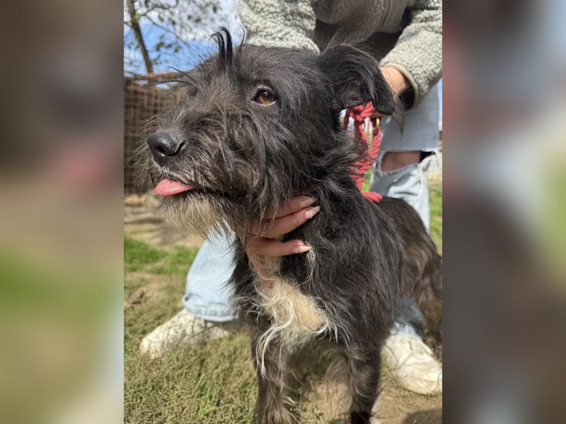 Lidi ist unser Sonnenschein