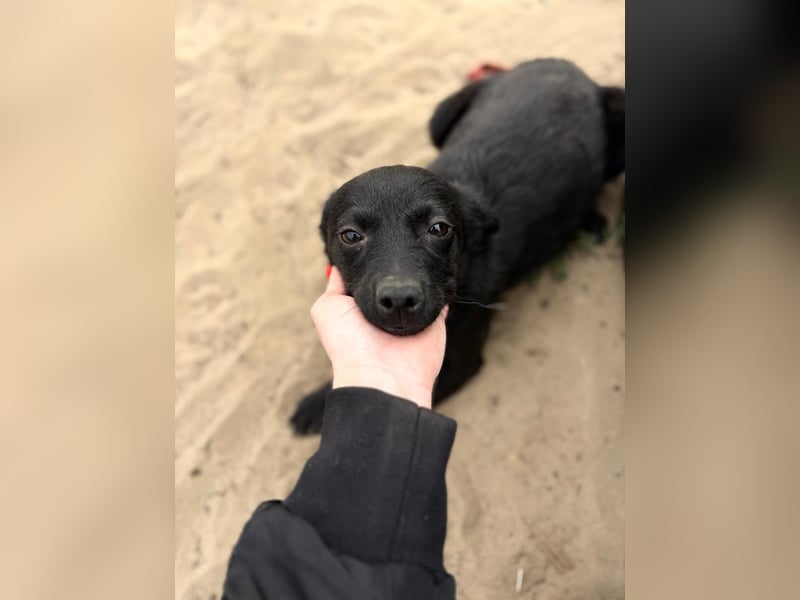 Fatima sucht Liebe und Geborgenheit