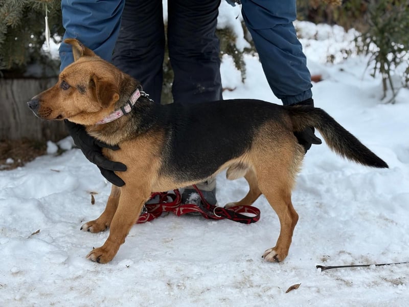 Hendri wartet auf ihr Happy End