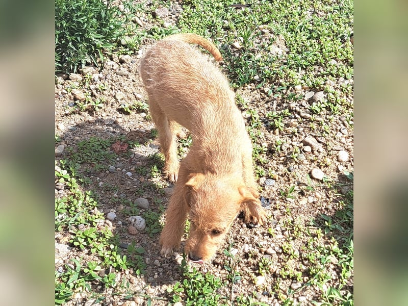Kendy sucht ihre Herzensmenschen