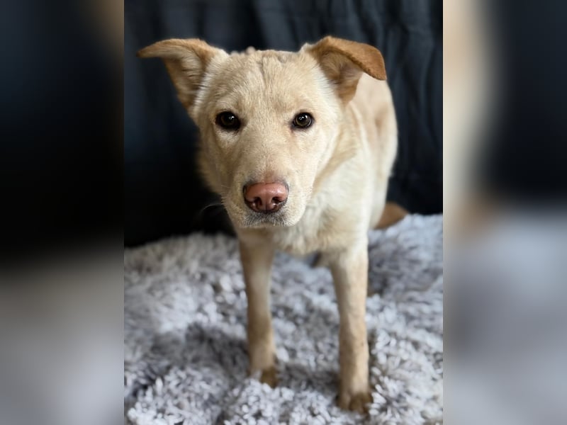 Pola möchte endlich geliebt werden