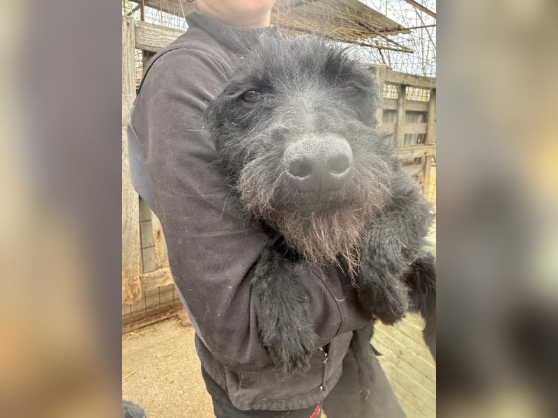 Jenga möchte die Welt mit dir entdecken