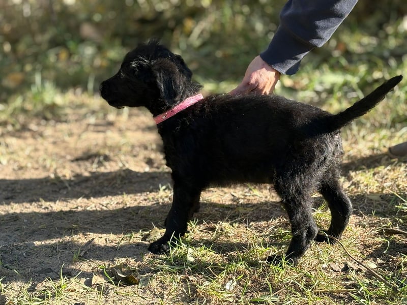 Kende wartet auf einen Neuanfang