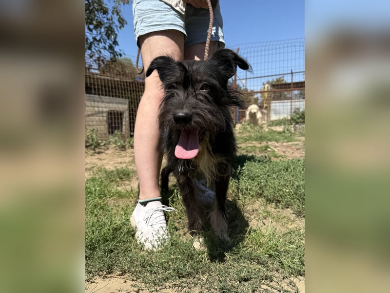 Lidi ist unser Sonnenschein