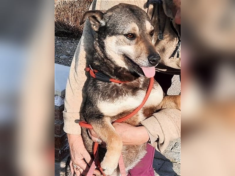 Super anhängliche Natascha möchte Rumänien ganz schnell verlassen