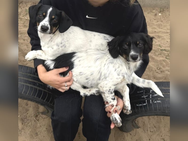 Envi möchte endlich nachhause Envi möchte endlich nachhause