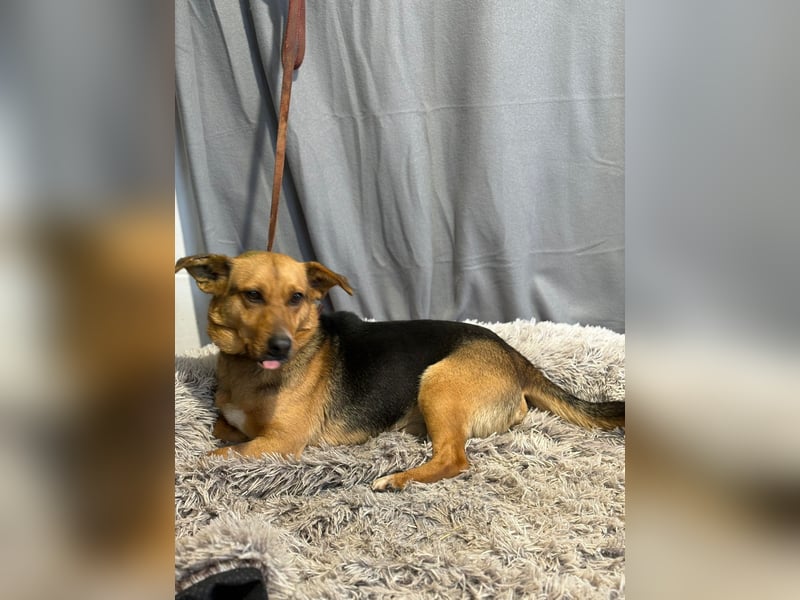 Hendri wartet auf ihr Happy End