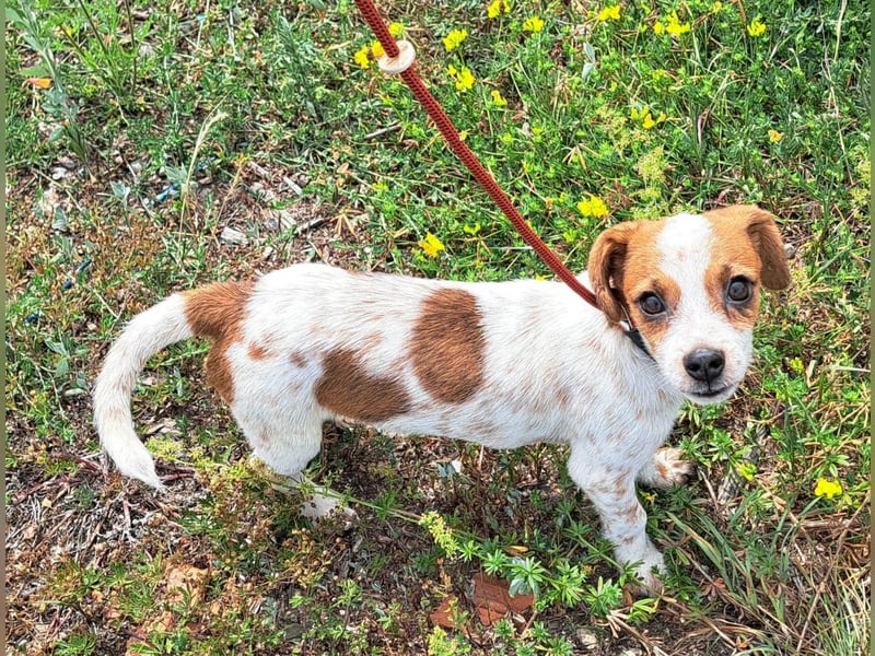 Die kleine Lilou kann bald in Hessen besucht werden