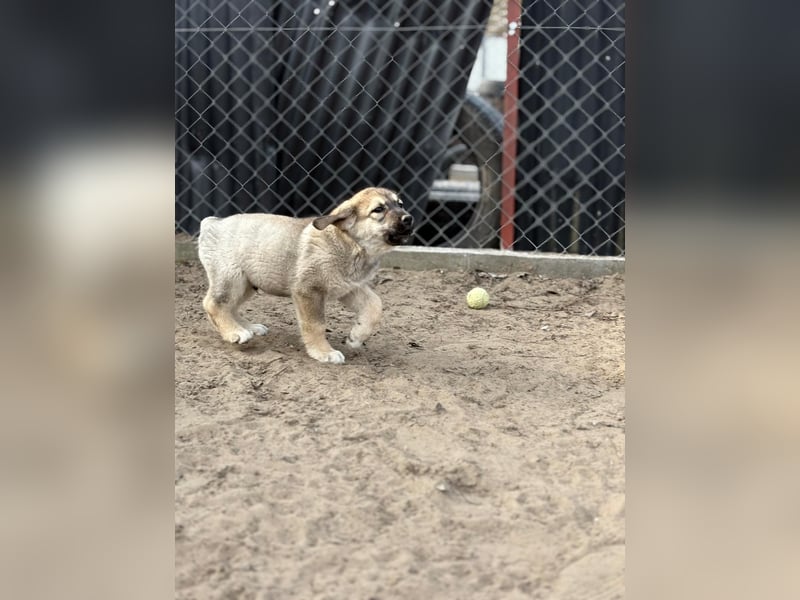 Nevin träumt von einem eigenen Zuhause