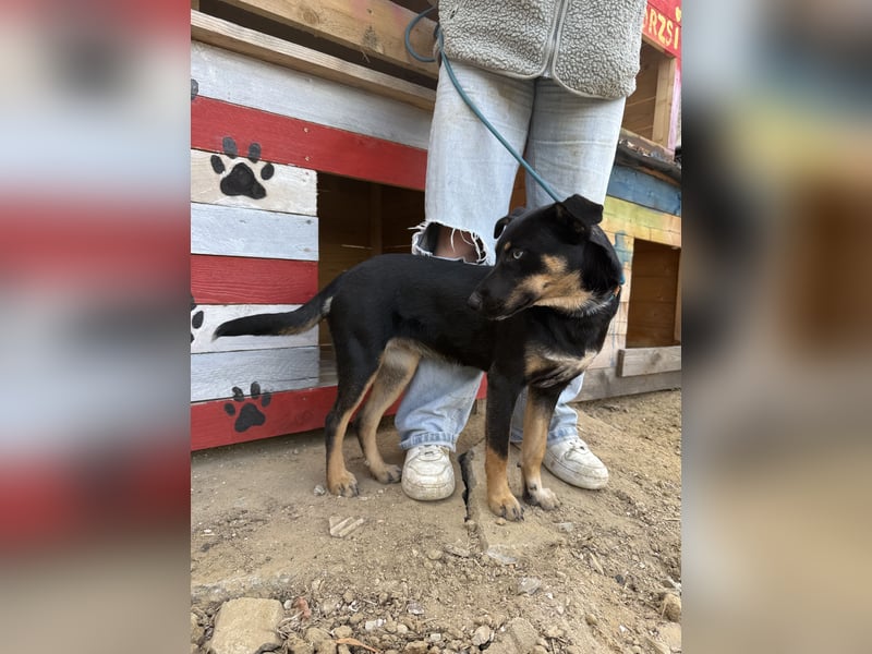 Rizling möchte zeigen, was in ihr steckt