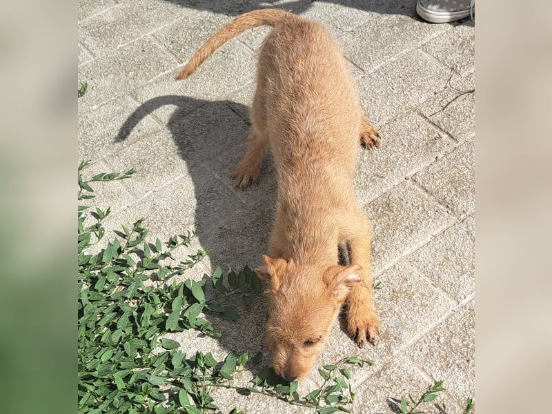 Kendy sucht ihre Herzensmenschen