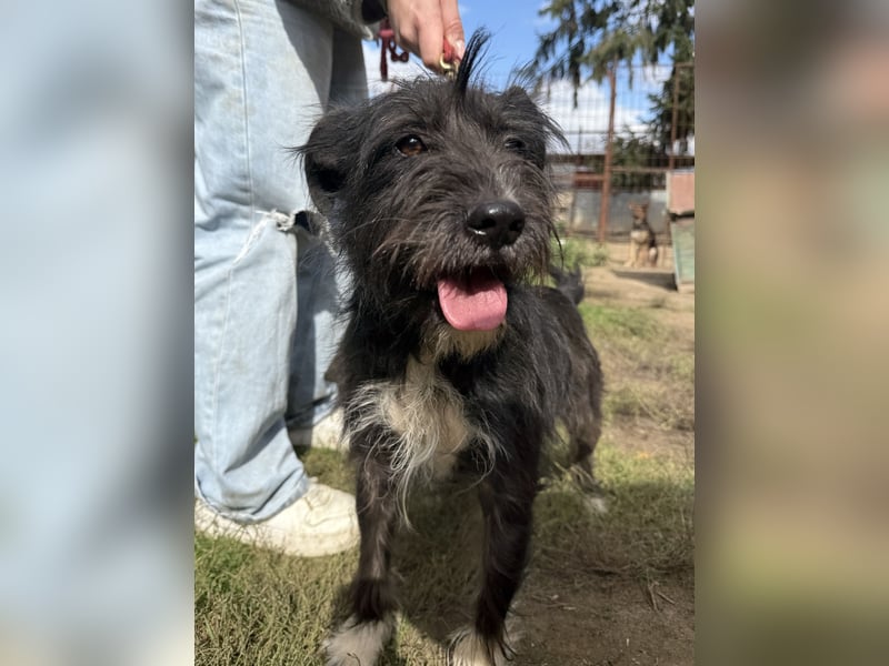 Lidi ist unser Sonnenschein