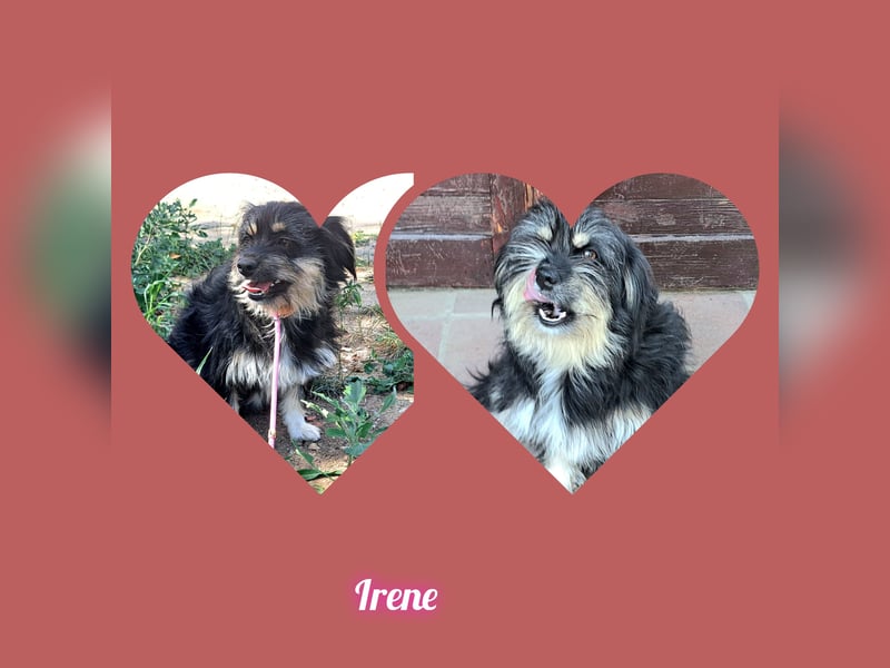 Irene lebt in Rumänien bei einer Pflegefamilie