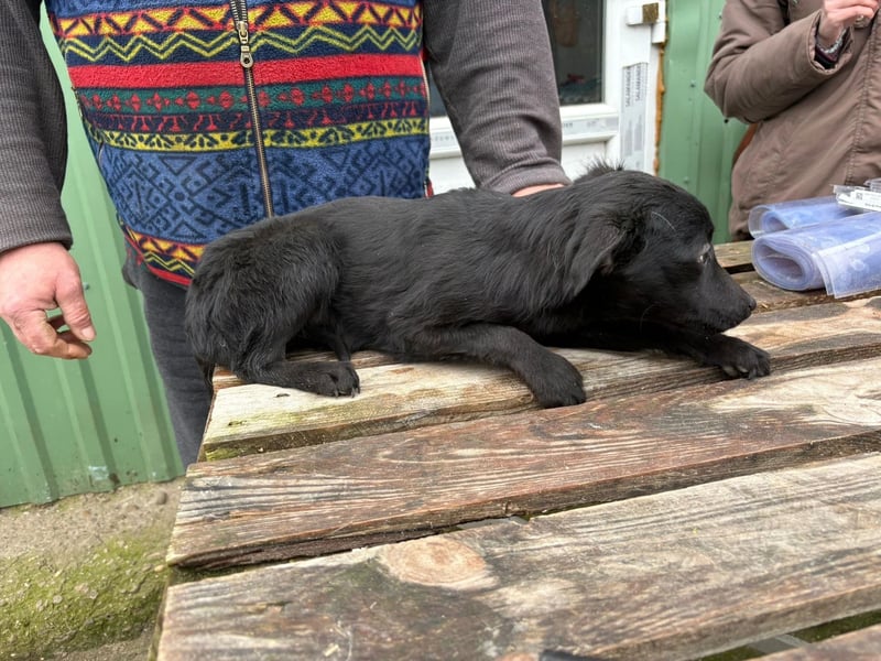 Fatima sucht Liebe und Geborgenheit