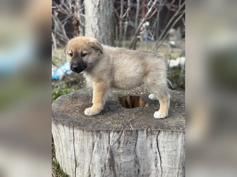 Nash hofft auf sein Glück