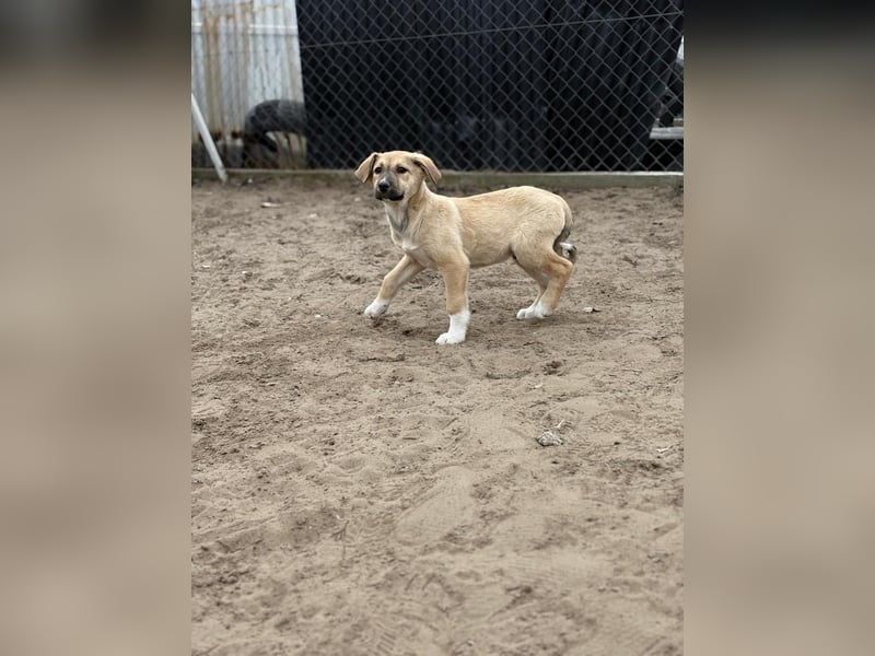 Nevio hat viel Liebe zu geben