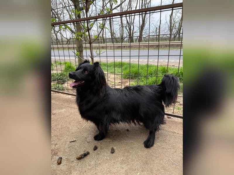 Pamacs wartet auf einen Neuanfang