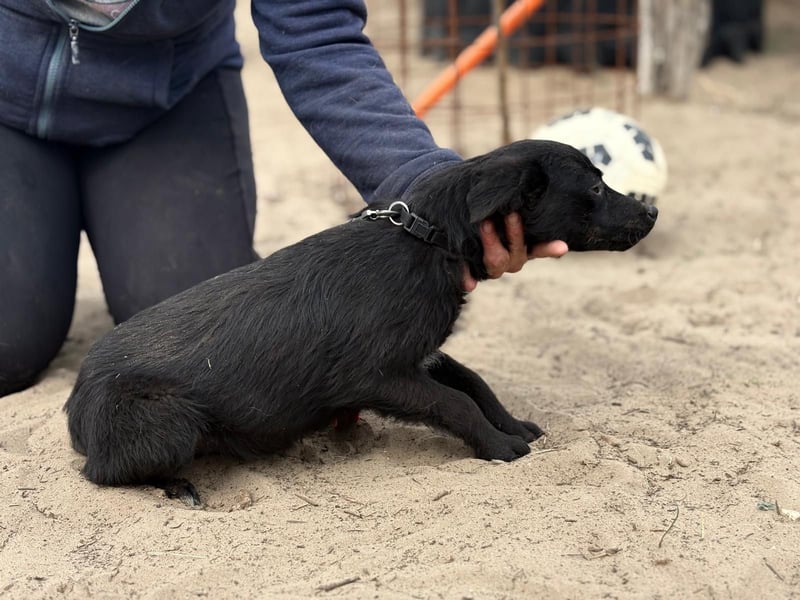 Fatima sucht Liebe und Geborgenheit