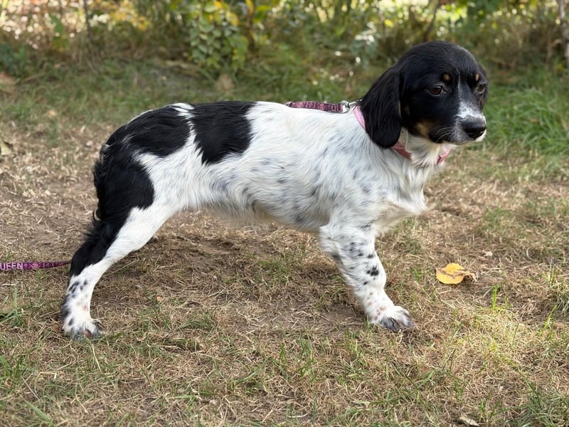 Envi möchte endlich nachhause Envi möchte endlich nachhause